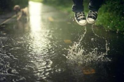 雷锋精神标语简短