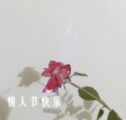 关于雨夜的伤感句子