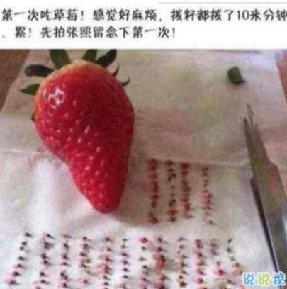 行为规范的标语