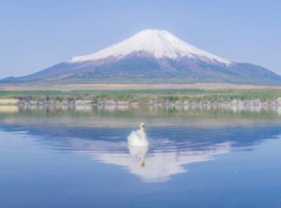 关于描写旅行的优美句子