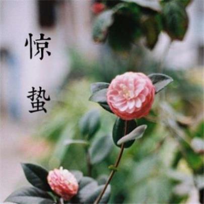 搞笑元宵节祝福短信：真诚的芯在摸爬滚打中历练…