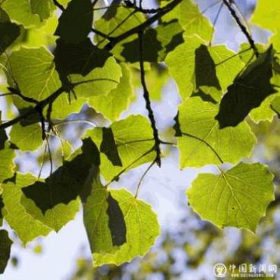 怎么讽刺造谣的人 从容淡定的名言警句