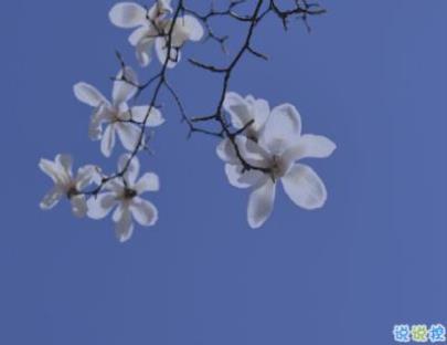 最暖心的情话给女朋友 七夕怎么给女友说情话