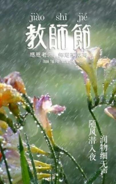 传统节日标语：落实老年优待政策…