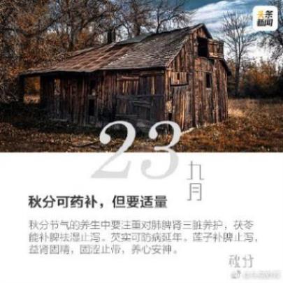 古代句子成魔伤感说说[25条] (表达压抑又无奈的诗句)