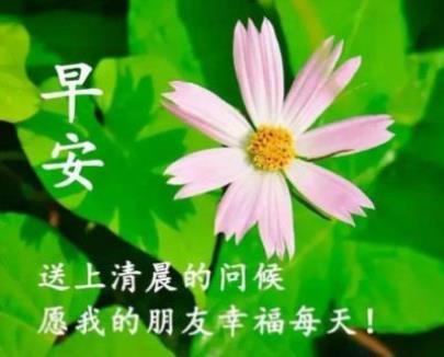 微信感恩节发给父母的