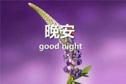 朋友圈宵夜配图文案