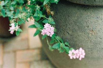 三八妇女节