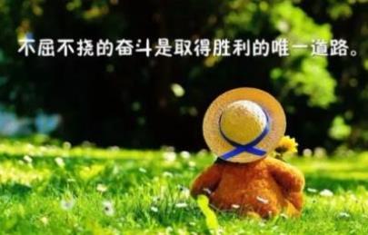 句子说说心情