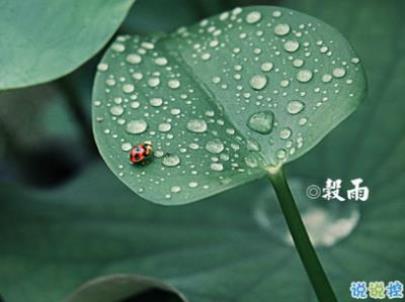 天秤座几月份生日